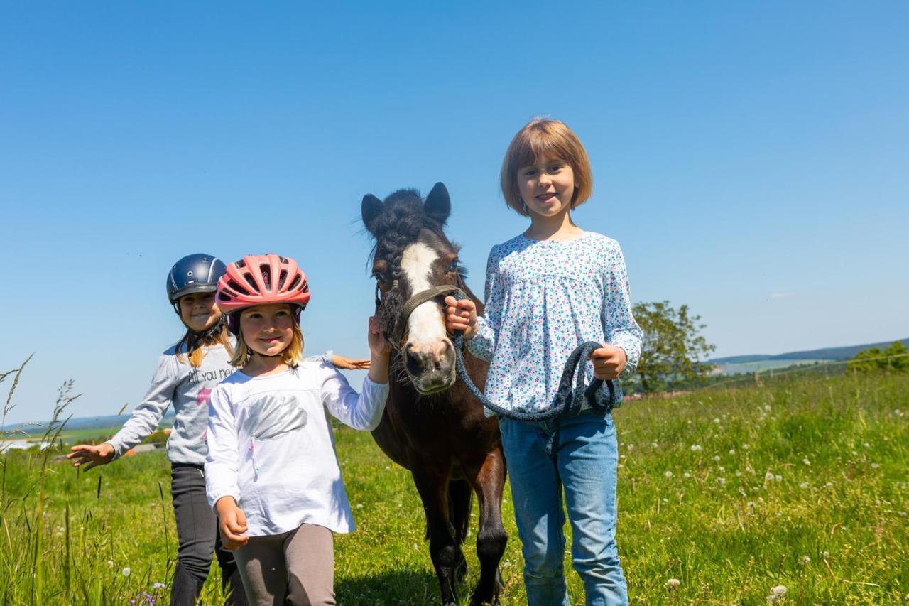 Appartamento Pferdehof Bischof Wertheim Esterno foto